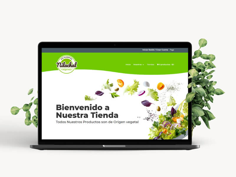 portafolio zeleny web nilachal