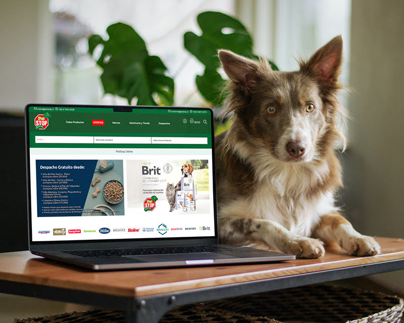 portafolio zeleny web petstop
